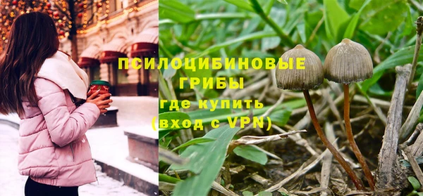 дурь Мегион