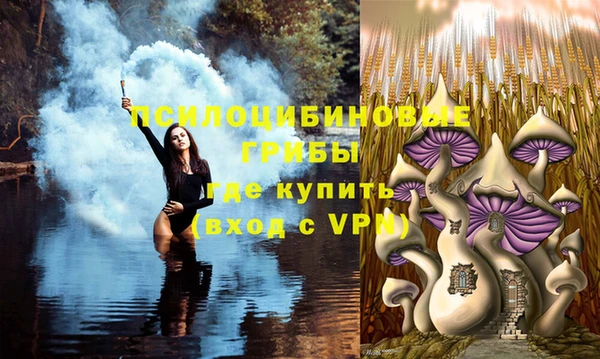 дурь Мегион