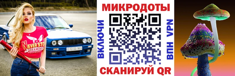 Псилоцибиновые грибы Cubensis  Фатеж 